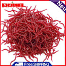 100/200pcs 3.5cm Soft Red Worm Baits Earthworm Carp Fishing Lures Tackles Tools