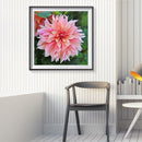 5D DIY Full Round Drill Diamond Painting Pink Flower Mosaic Rhinestone Draw