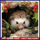 Oil Painting By Numbers Acrylic Handmade Little Hedgehog Digital Picture Deco