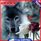 5D DIY Wolf Rose Full Round Diamond Painting Mosaic Picture Wall Rhinestone Kit