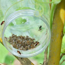 Killer Garden Supplies Hornets Bee Catcher Wasp Traps Jar Wasp Trap Bee Trapper
