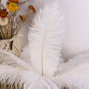 10pcs Feather Feather Elegant Fluffy Ostrich Feather Wedding Party Room DIY Decor