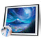 Night Landscape 50x40cm Oil Paint By Numbers Picture DIY Painting
