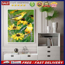 Paint By Numbers DIY Canary Hand Painted on Canvas Oil Art Craft Home Wall Decor