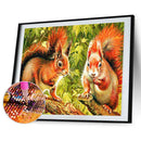 5D Diamond Painting Kit DIY Squirrels Full Round Drill Mosaic Home Decoration