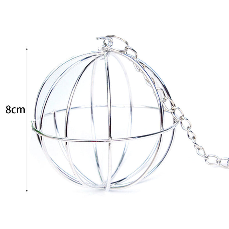 Stainless Steel Hamster Hanging Pendant Ball Guinea Pig Chinchilla Grass Feeder