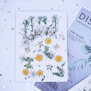 Dried Flower Material Package Real Pressed Dry Flowers & Leaves (White) Newly