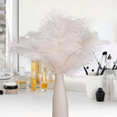 10pcs Fluffy Ostrich Feather Wedding Party Plumes Feather 15-30cm (White)