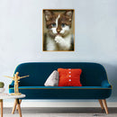 5D Diamond Painting Kit DIY Cat Full Round Mosaic Picture
