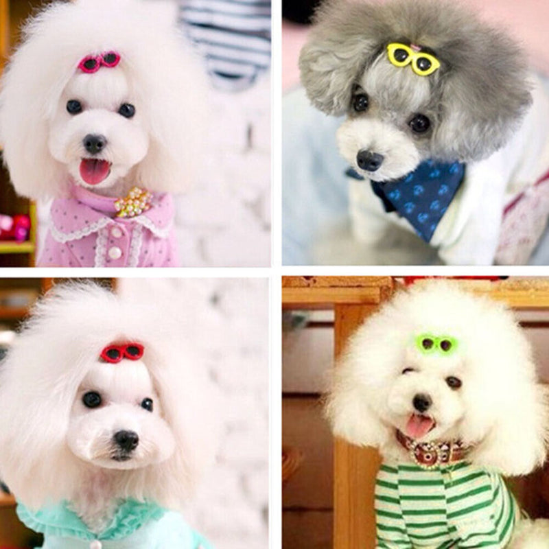 10pcs/Set Plastic Pet Sunglasses Hairpin Headdress Dog Hair Clip Pets Head Newly