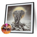 5D Diamond Painting Square Diamond Animal Elephant