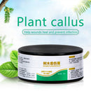 50g Plant Healing Sealant Bonsai Wound Healing Agent Tree Pruning Paste
