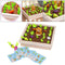 Montessori Toys for Toddlers Carrot Harvest Shaped & Size Matching Game_