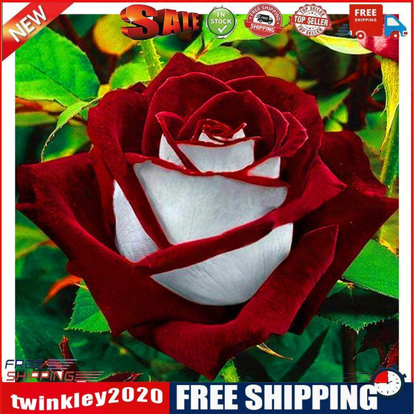 Handmade DIY Full Round Drill Diamond Painting 5D Valentine Rose Poster Kit