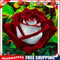 Handmade DIY Full Round Drill Diamond Painting 5D Valentine Rose Poster Kit
