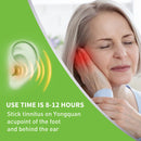 12pcs Ear Care Pad Ringing Relieve Mat Herb Essence Patches Improve Memory Newly