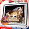 5D Horse Diamond Embroidery Painting Rhinestone Cross Stitch Home Decor