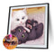 5D Diamond Painting Cute Cats Full Round Mosaic Canvas Picture DIY Home Decor