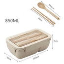 Microwave Lunch Containers Box with Compartments Food Container (Beige) Newly