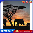 Painting By Numbers Kit DIY Sunset Elephant Canvas Oil Art Picture Craft
