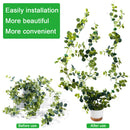 Rattan Vine Traction Holder Wire Organization Plant Climbing Wall Fixture