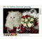 5D DIY Diamond Painting Cat Cross Stitch Embroidery Craft Kits Wall Art Set