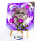 Oil Paint By Numbers Picture DIY Painting Rose Cat Painting Kit Acrylic Paint
