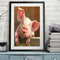 40x50cm Pig Painting By Numbers DIY Canvas Wall Picture Hand Painted Home Dec