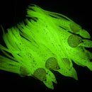 10x Bionic Octopus Fishing Lures 5cm Artificial Soft Bait (Luminous White)