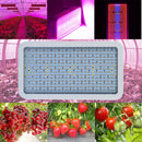 400 LEDs Grow Lights Full Spectrum 400W Indoor Plant Lamp For Plants AU-105
