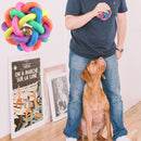 Colorful Dog Bell Puppy Rubber Rainbow Ball Pets Playing Chew Sound Toys (S