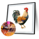 5D DIY Diamond Painting Kits Rooster Full Round Drill Wall Decor Art Crafts