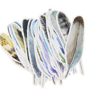 Feather Series Pagination Mark Bookmark Book Clip Paper Bookmark Message Card