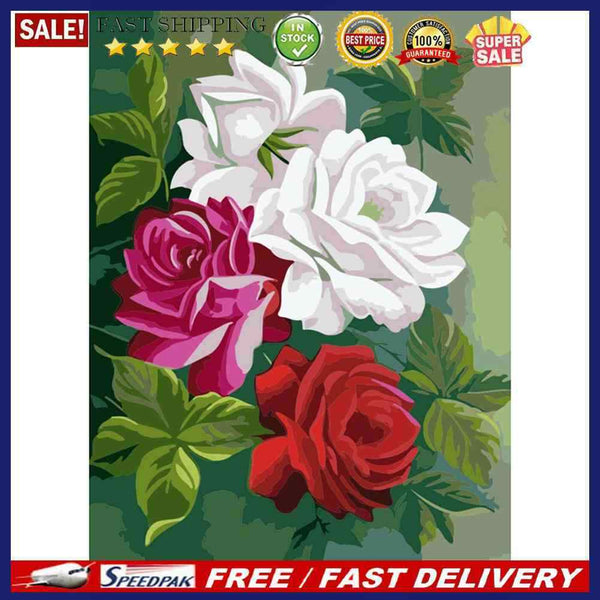 Painting By Numbers Kit Flower Hand Painted Oil Drawing Wall Picture DIY Decor