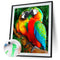 Oil Paint By Numbers Animal Parrot DIY Painting Kit Wall House Art Drawing