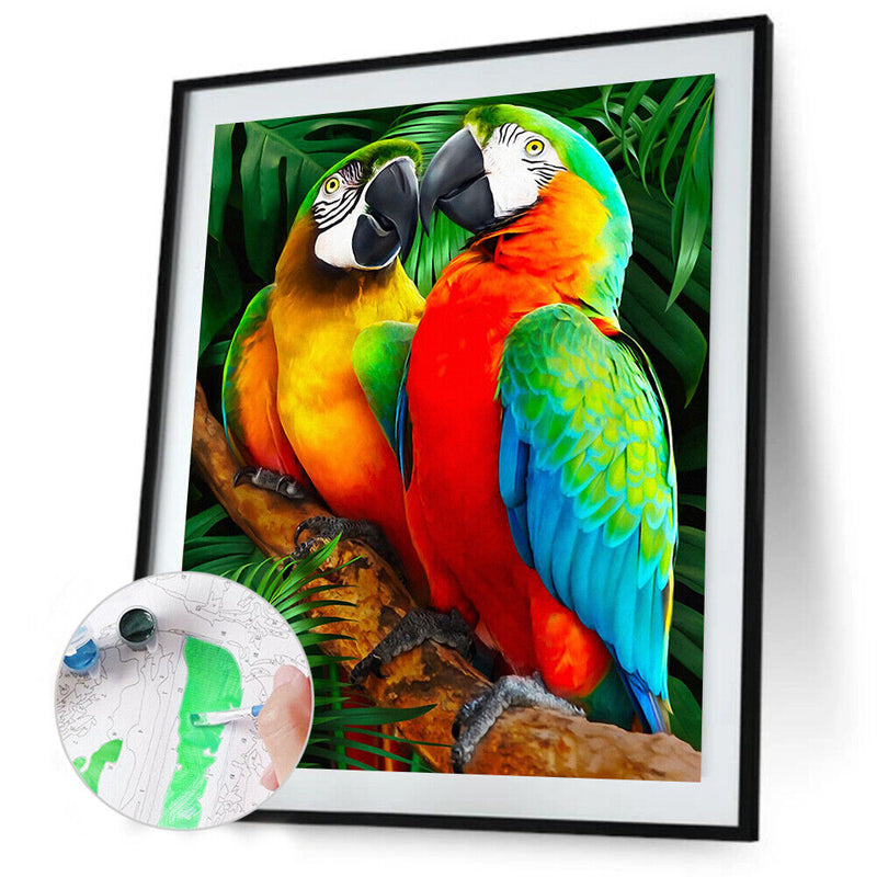 Oil Paint By Numbers Animal Parrot DIY Painting Kit Wall House Art Drawing