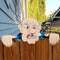Garden Illustration Fence Decoration Wood Old Man/Lady Yard Art Sign (A) Newly