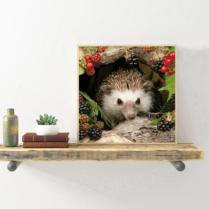 Animal Hedgehog 5D Diamond Painting Embroidery DIY Full Round Drill Picture
