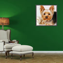 5D Diamond Painting Kit Yorkshire Terrier Full Square Drill DIY Art Craft Mosaic