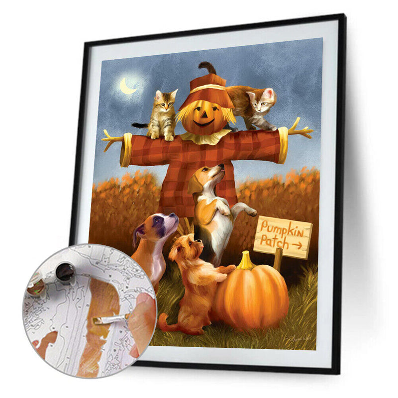 Cat Dog on Scarecrow Oil Paint By Numbers Kit Drawing Picture 40x50cm (B1600)