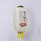 Japanese Lantern with Tassel Waterproof Festival Hanging Light Decor (F)