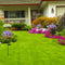 LED Solar Hydrangea Light Flower Lawn Stake Lamp Outdoor Garden Decor (B)