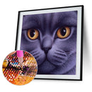 #A 5D DIY Diamond Painting Full Round Drill Face Cat Mosaic Picture Animal Gift