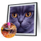 #A 5D DIY Diamond Painting Full Round Drill Face Cat Mosaic Picture Animal Gift