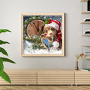 5D Diamond Painting Kits Tiger Full Square Drill DIY Wall Art Crafts Mosaic Sets