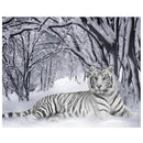 DIY Diamond White Tiger Painting Cross Stitch Needlework Crafts Decor