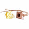 Wooden Stopper Glass Bottle Hanging Perfume Diffuser Freshen bottle Car Air gift