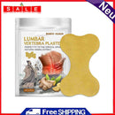 12pcs Ginger Medical Patch Joint Lumbar Spine Back Pain