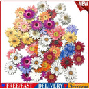50pcs Wooden Chrysanthemums Sewing Buttons DIY Scrapbooking Clothes Decor