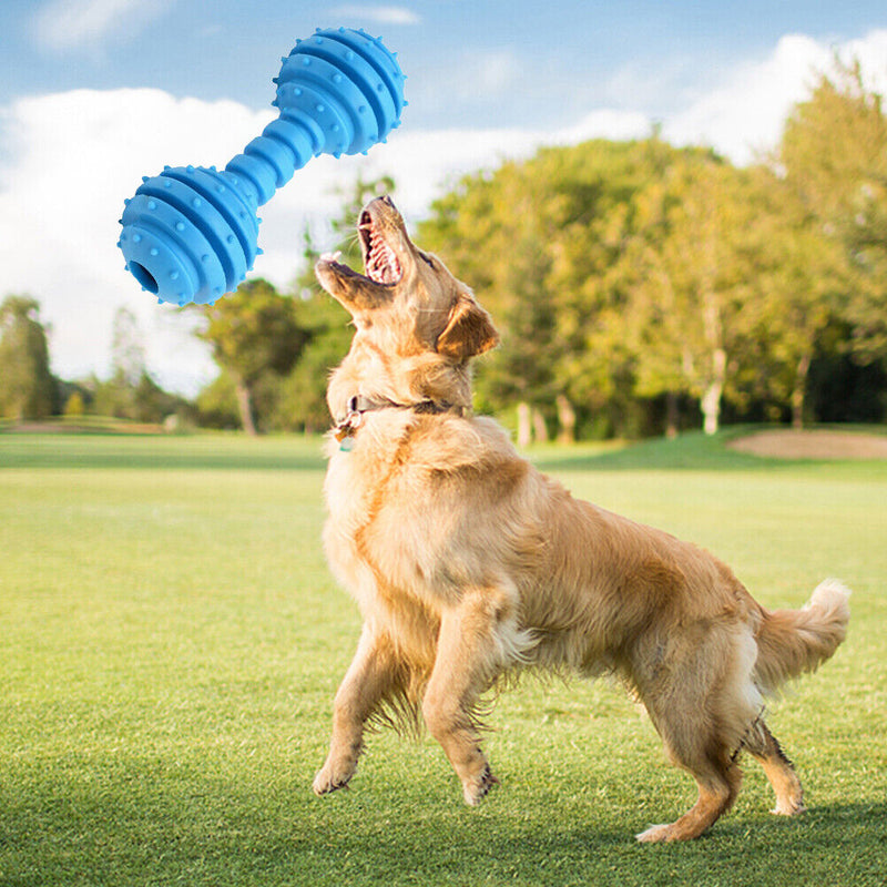 Dog Toys Pet Molar Teeth Stick Bite Sound Interactive Training Ball (Blue) Newly